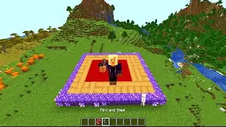 Minecraft : Underground house destruction