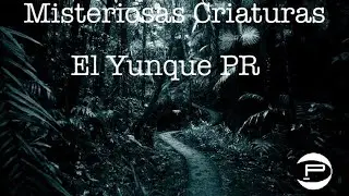 Misteriosas Criaturas En El Yunque PR (La Experiencia de Héctor Jusino)