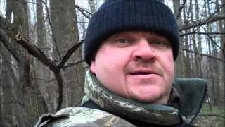 коп по войне в брянских лесах
