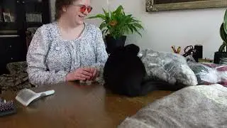 I think my cat may have an addiction problem 😅