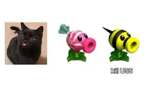 I liek the Catsu! do yu liek the Catsu?