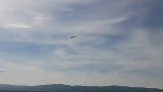 Planeprint eagle