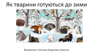 СТАРША ГРУПА. ЯК ТВАРИНИ ГОТУЮТЬСЯ ДО ЗИМИ.