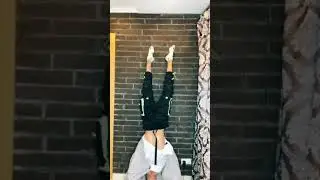 Вау Вау Вау