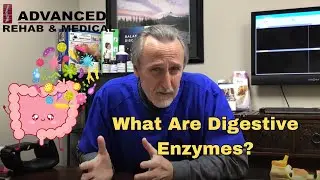 What Are Digestive Enzymes? 🦠