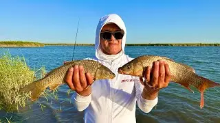 Now that's fishing!!! And the fish bite, and the soul sings!!!