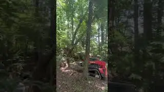 Forklift flip? #short #shorts #shortvideo #shortsvideo #fyp #fypシ #tree