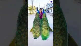 peacock drawing #peacock #shorts #song #bollywood #hindisong