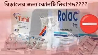 বিড়ালের জ্বর, ব্যথা ও প্রদাহে কোন ঔষধ নিরাপদ? ||  Dr. Pobitro Mohonto || Safe Painkillers for Cats