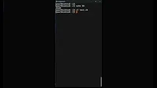 Shell Scripting in 1 min | How to Create and Run a Bash Script in Linux? Hindi