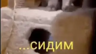 Сидим дома ...