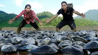 Harvesting oysters in the mud with her husband, cook with your children