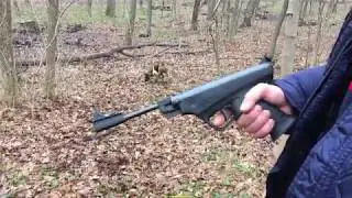 МР 53М Стрельба на 22 метра