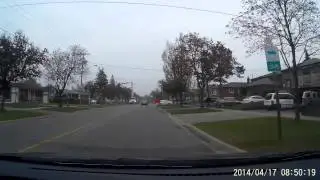 Almost hit a cat