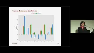 Disciplined Convex Optimization with CVXR