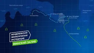 Менделеевская экологическая экспедиция. Финский залив.