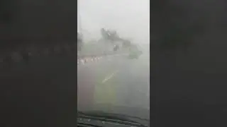 Hujan lebat  tumbangkan pepohonan