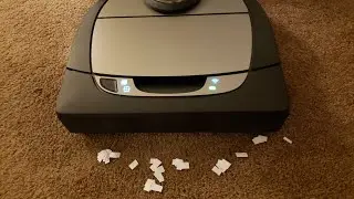 Neato D7 Carpet Cleaning Pickup Test with Paper