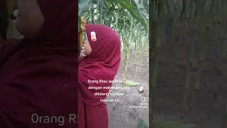 si jilbab merah meresahkan