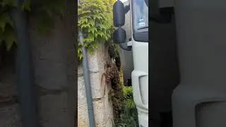 НЕ РАССЧИТАЛ С ГАБАРИТАМИ 🤯
