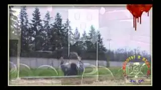 В памет на командоса Емил Шарков