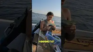 Atleast she tried 🤣 #fishing #bassfishing