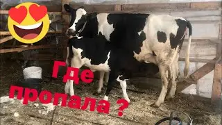 Окот. Опорос. Кто беременный и кто рожает