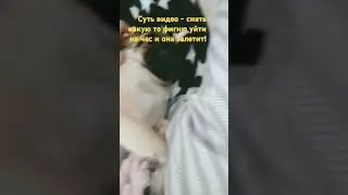 3 июня 2024 г.