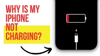 Solutions for iPhone Not Charging
