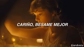 Cardigan - Taylor Swift // Sub Español