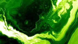 Travis Jesse: Jessamine (Original Mix)