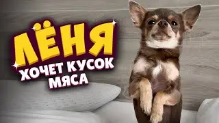 Лёня хочет кусок мяса