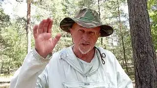 Немного о сыроежках