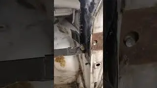 даже мышь не выдержал