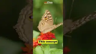 🦋 Deciphering the Complexity of the Butterfly Effect 🌌 #askiitians
