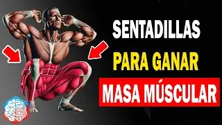 ¿Cuántas sentadillas debes hacer al día para ganar músculo? 💪🔥 (Guía paso a paso)