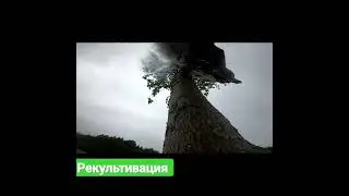 🌳Эскаватор валит дерево(рекультивация пахотных земель)#1