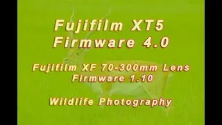 Fujifilm XT5, Fujifilm 70 300mm Lens Firmware Updates