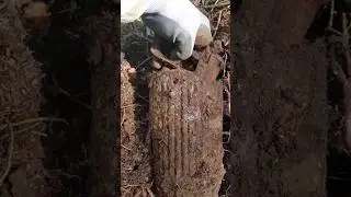НOKUS POKUS.