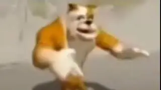 шок бездомная собака флексит