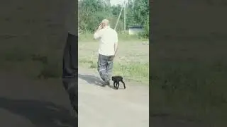 Потеряв мать маленькая овечка  обрела друга  в лице хозяина.