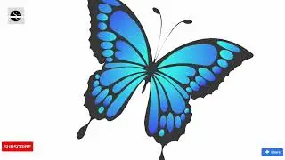 Butterfly Drawing | How to Draw Butterfly | Drawing | Sketches