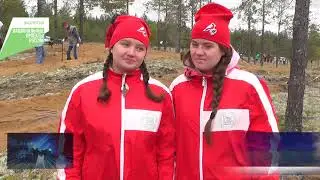 Соликамск присоединился ко всероссийской акции «Сохраним лес».