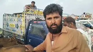 Bachra farming in Pakistan 