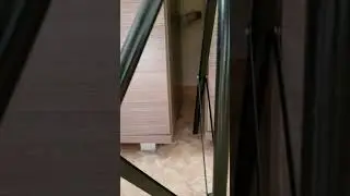 Доброе утро! Кот Феликс чуть-чуть не застрял😊/Good morning! Felix the cat almost got stuck