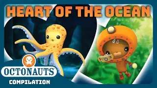 ‪@Octonauts‬