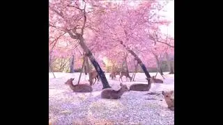 Amazing of Nature | 