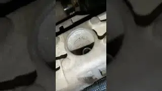 Сто прикол