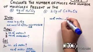 Moles and Molecules I Sec D Q.5 I CHP 1 II Class 9 Chemistry