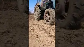 Синий трактор